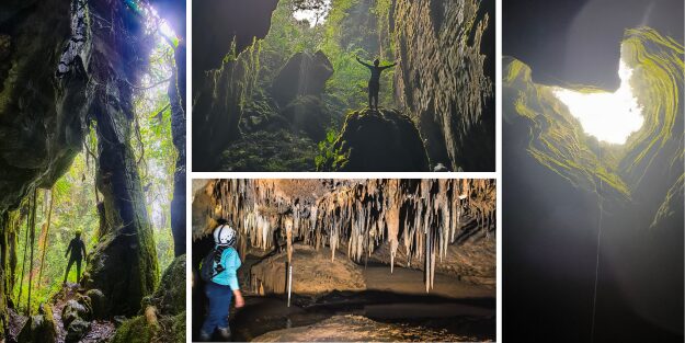 Bosques de Pandora Santander