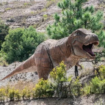 Conoce parque de dinosaurios