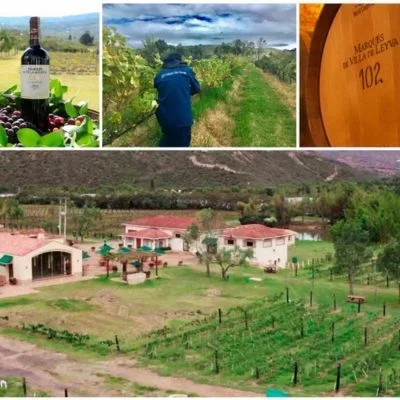 Hacer enologia en villa de leyva