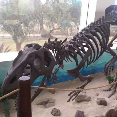Museo Paleontologico