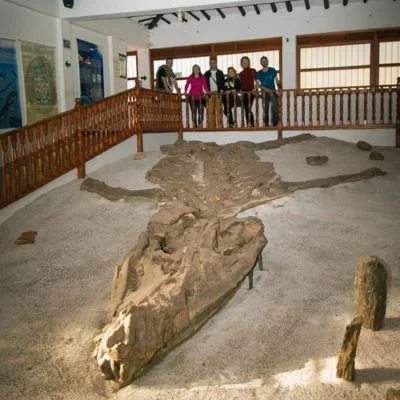 Museo el fosil