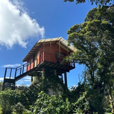 Refugio en una cabaña para ir en pareja económica y rodeada de naturaleza Refugio en una cabaña para ir en pareja económica y rodeada de naturaleza